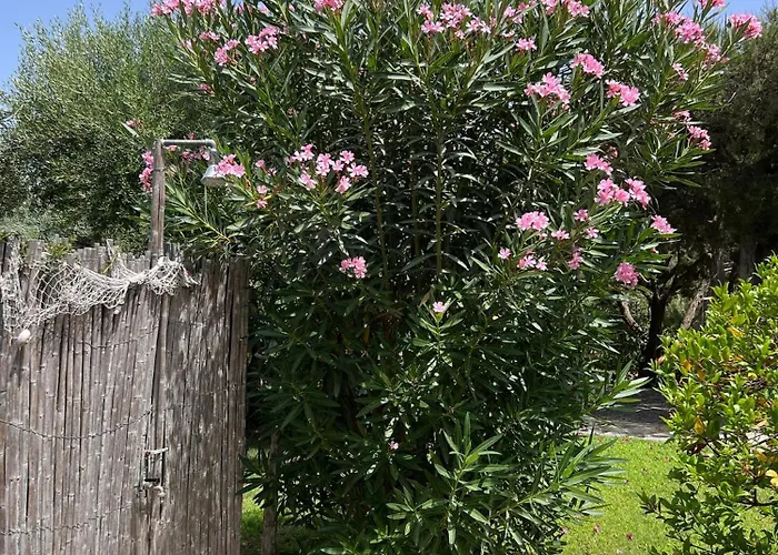 Holiday home Margiu Villasimius