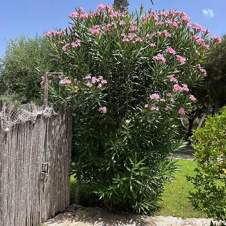 Hébergement de vacances Margiu Villasimius