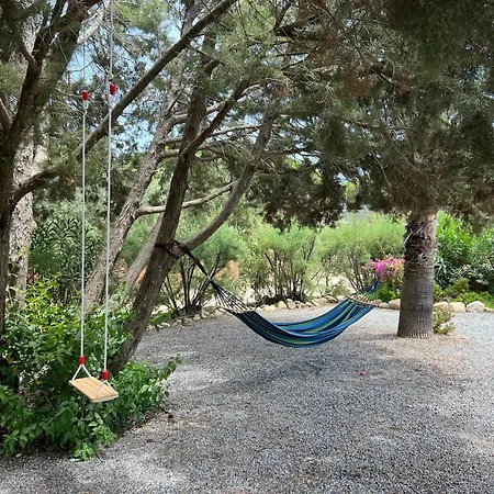 Margiu * וילסימיוס