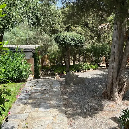 Margiu וילסימיוס