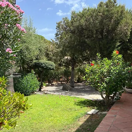 Margiu * Вилласимиус