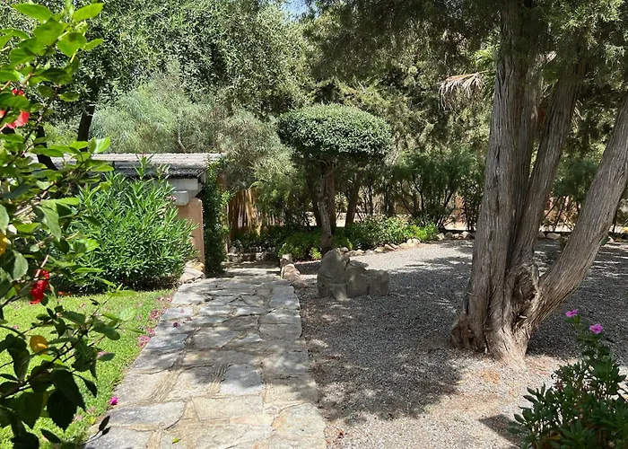 Margiu וילסימיוס