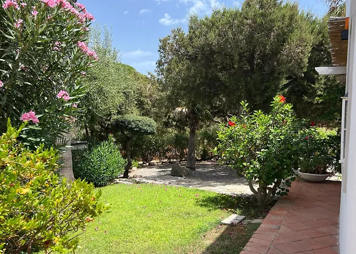 Margiu * וילסימיוס